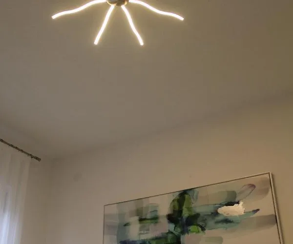 Zarko * 브르사르