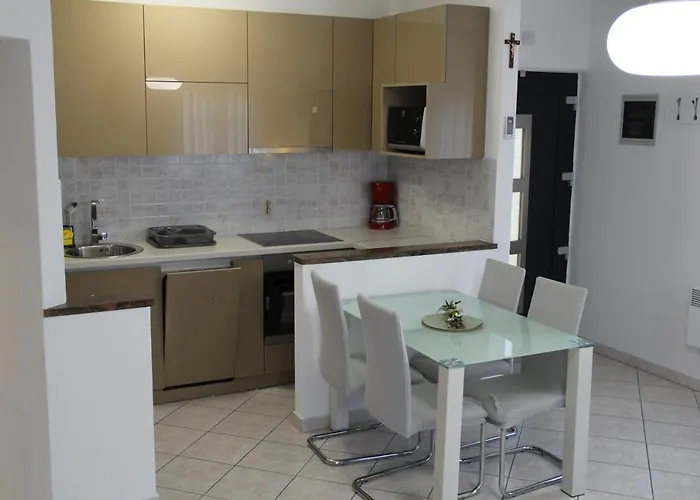 Zarko 아파트 브르사르